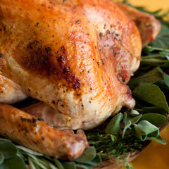 The GofG Thanksgiving Guide 2012: Dining Out In NYC