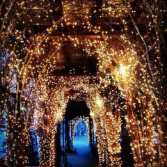 Photo Of The Day: West Village Lights Up For The Holidays