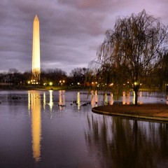 DC Photo Of The Day: Reflecting Pool