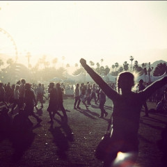We're Looking For Coachella 2014 Photographers!
