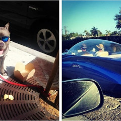 Only In L.A.: Instagrams Of The Oddest, Most WTF & Uniquely L.A. Crap Around Town