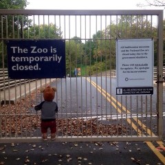 Photo Of The Day: Government Shutdown Is Ruining Children's Lives