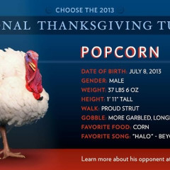 Vote To Pardon Your Favorite Turkey!