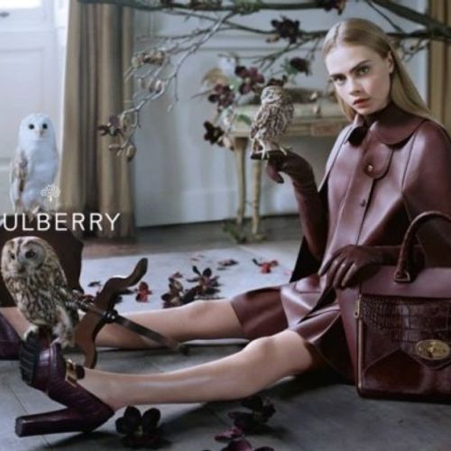 The Playground: What To Do In DC This Weekend!