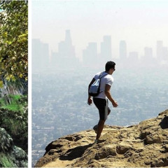 Get Fit In 2014 With These Awesome L.A. Hikes (Besides Runyon)