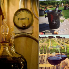 Vineyard Getaways: 5 Great Wineries To Check Out Near NYC 