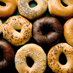 New York Classic: Where To Find The Best Bagels In NYC