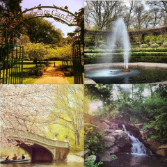 Central Park Guide: 8 Spots Worth Exploring 