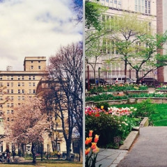 Summer Strolls: 10 NYC Gardens You Probably Didn't Know About
