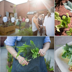 Interview: Salad For President Founder Julia Sherman Talks Growing Produce In NYC, Her New Garden At MoMA PS1 & More! 