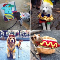 Canine Costumes: Our Favorite Pups From The 24th Annual Tompkins Square Halloween Dog Parade