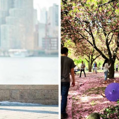 10 NYC Spots Perfect For A Unique Proposal