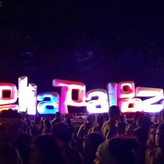 10 Tips For Surviving Lollapalooza 2015