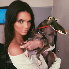 Happy Birthday Kendall Jenner! A Look At 8 Times She Broke Instagram