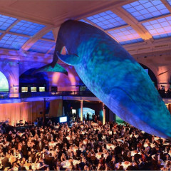Seth Meyers Hosts The American Museum Of Natural History's 2015 Museum Gala