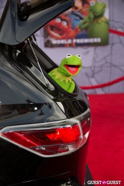 Kermit the Frog 
